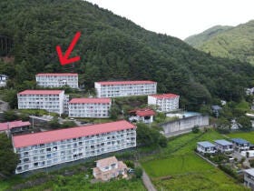 概観画像