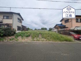 概観画像