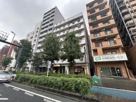 概観画像