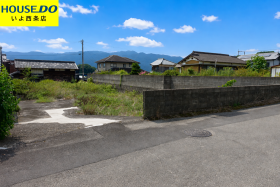 概観画像