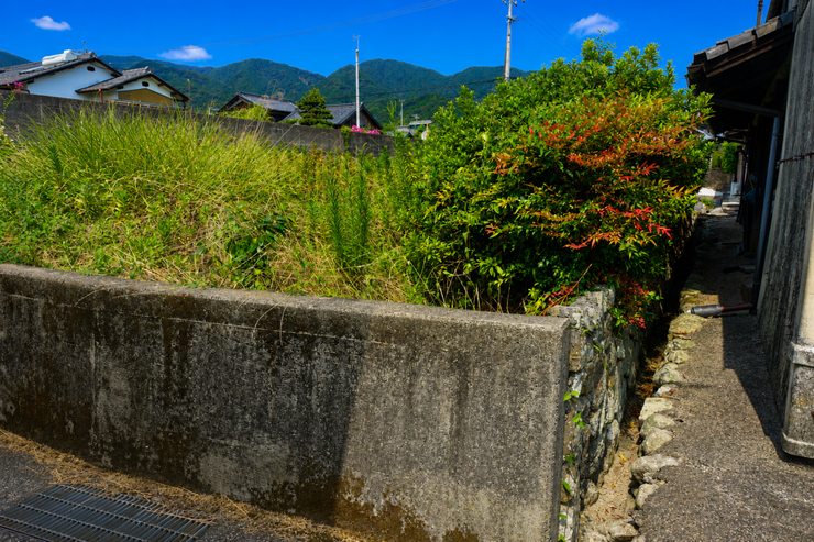 ※この画像はAI処理にて加工した写真です。