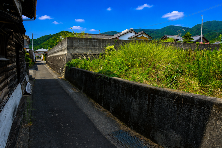 ※この画像はAI処理にて加工した写真です。