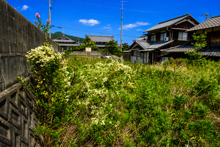 ※この画像はAI処理にて加工した写真です。