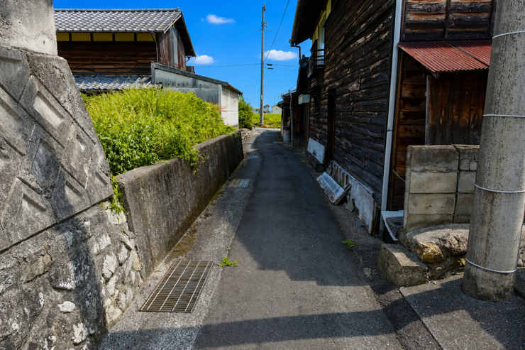 ※この画像はAI処理にて加工した写真です。