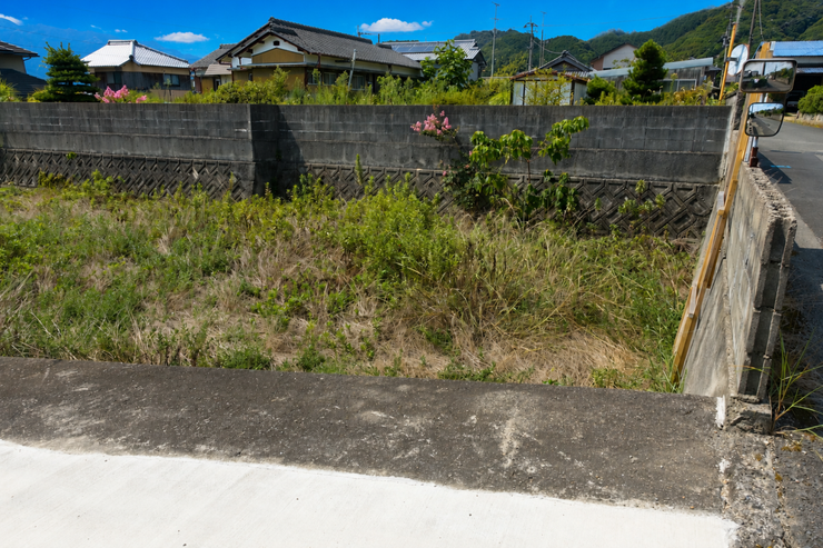 ※この画像はAI処理にて加工した写真です。