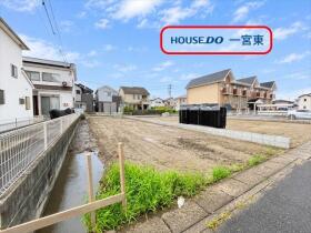 概観画像