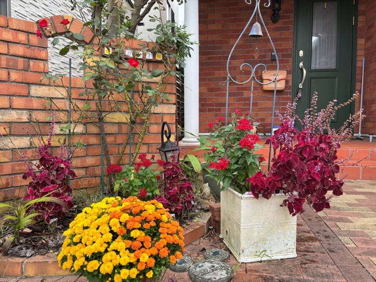 建物の前後には植栽用スプリンクラーが設置されており、季節ごとの手入れも快適に行える環境です。