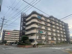 概観画像