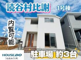 概観画像