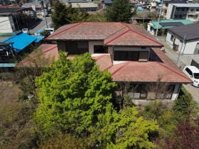 概観画像