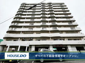 概観画像