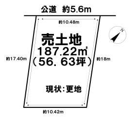 概観画像