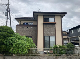 概観画像