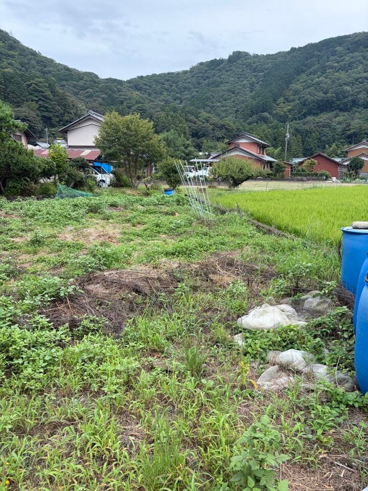 家庭菜園もできます♪