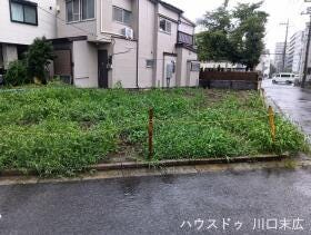 概観画像