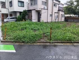 概観画像