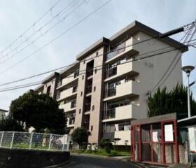概観画像