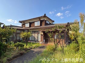 概観画像