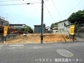 概観画像