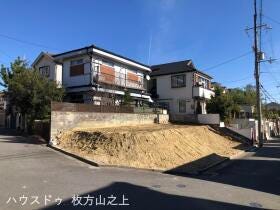 概観画像