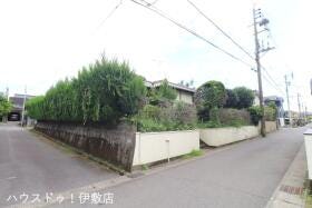 概観画像