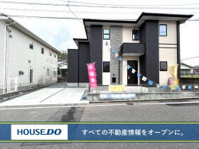 概観画像