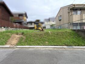 概観画像