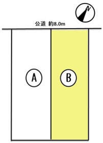 概観画像