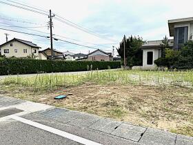 概観画像