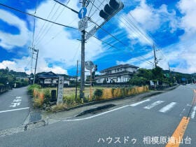 概観画像