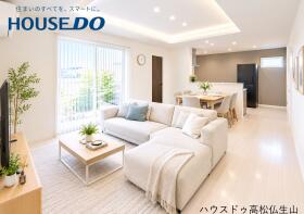 概観画像