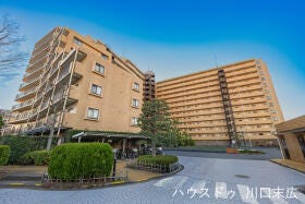 概観画像
