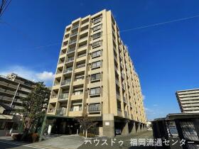 概観画像