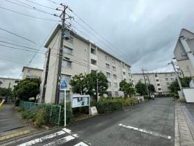 概観画像