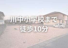 概観画像