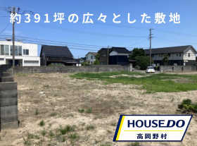概観画像