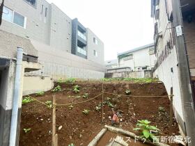 概観画像