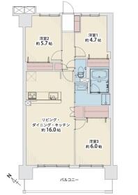 概観画像