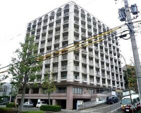 概観画像