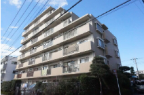 概観画像