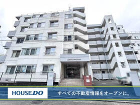 概観画像