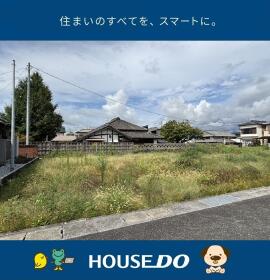 概観画像