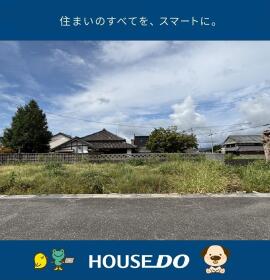 概観画像