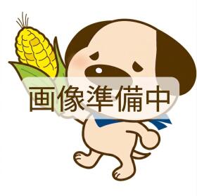 概観画像