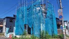 概観画像