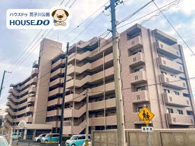 概観画像