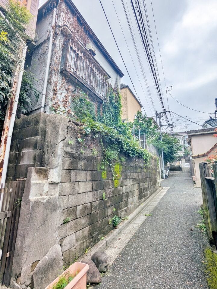 周辺の通路と高低差が分かる一枚。壁面や階段の位置も含め、現地を歩きながらご確認ください。