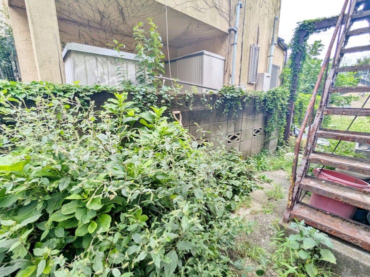 外階段の脇に草木が茂る現況です。階段や塀の状態も含め、敷地まわりを現地でご確認ください。