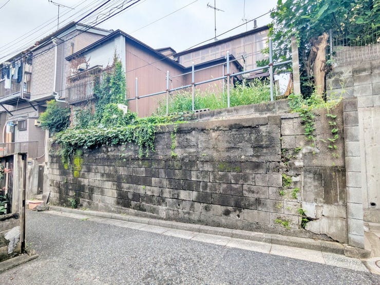 壁面を正面寄りから撮影し、高低差が分かる一枚です。ひび割れや草木の状態も含め、現況をご確認ください。
