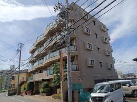 概観画像